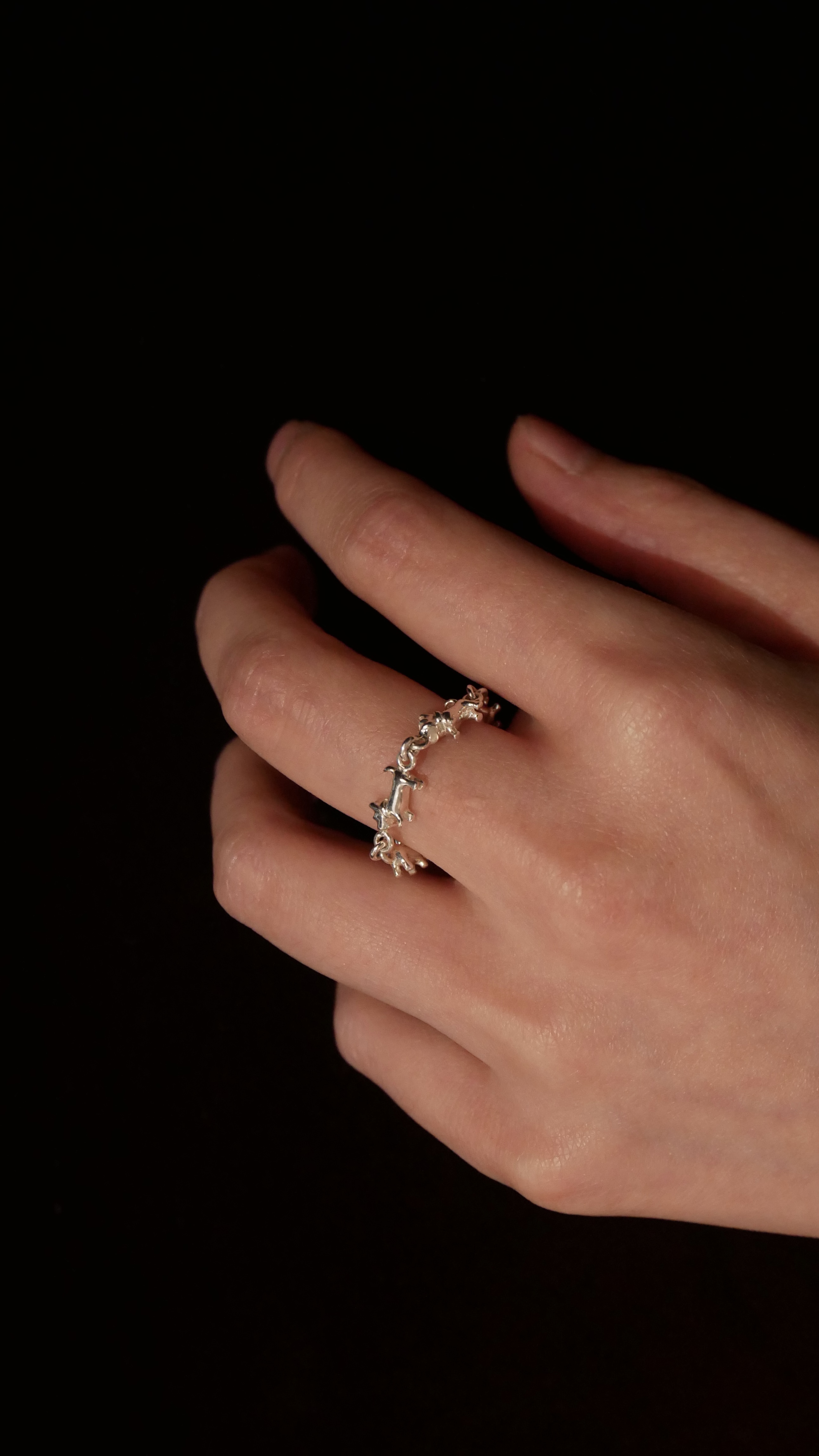 schnauzer chain ring (SS) | Studio Doe